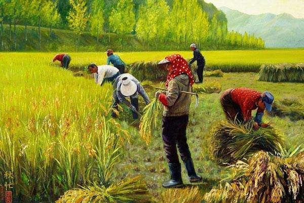農(nóng)村文化的意義何在？